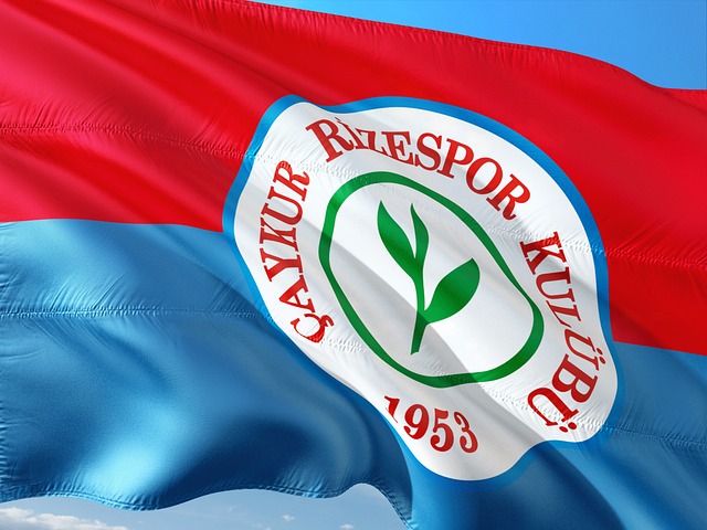 提升其市场 提升其市场